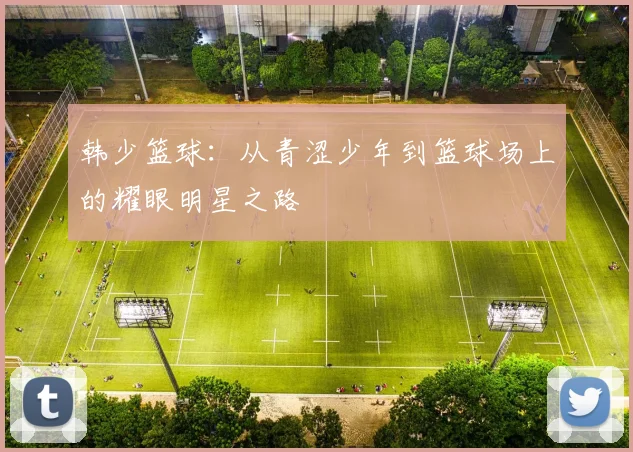 韩少篮球：从青涩少年到篮球场上的耀眼明星之路