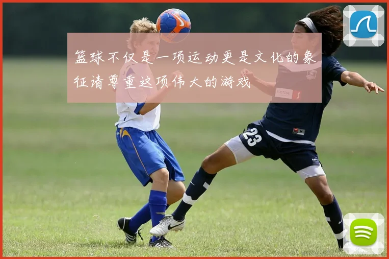 篮球不仅是一项运动更是文化的象征请尊重这项伟大的游戏
