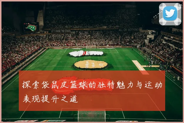 探索袋鼠皮篮球的独特魅力与运动表现提升之道